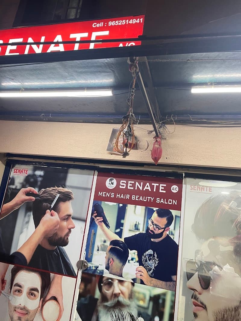 SENATE A/C MEN'S HAIR & BEAUTY SALON 2